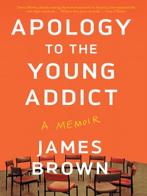 cover image of Apology to the Young Addict